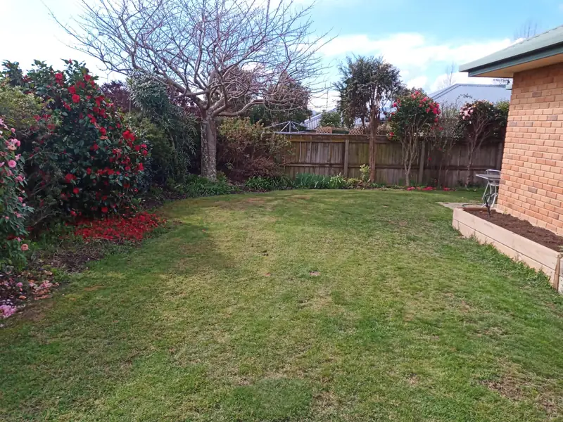 A back lawn in Tasman freshly mown