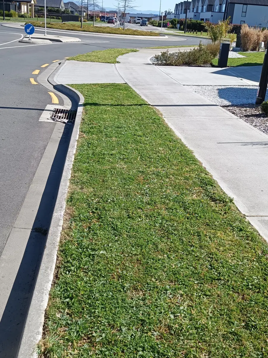 A mown berm beside a driveway