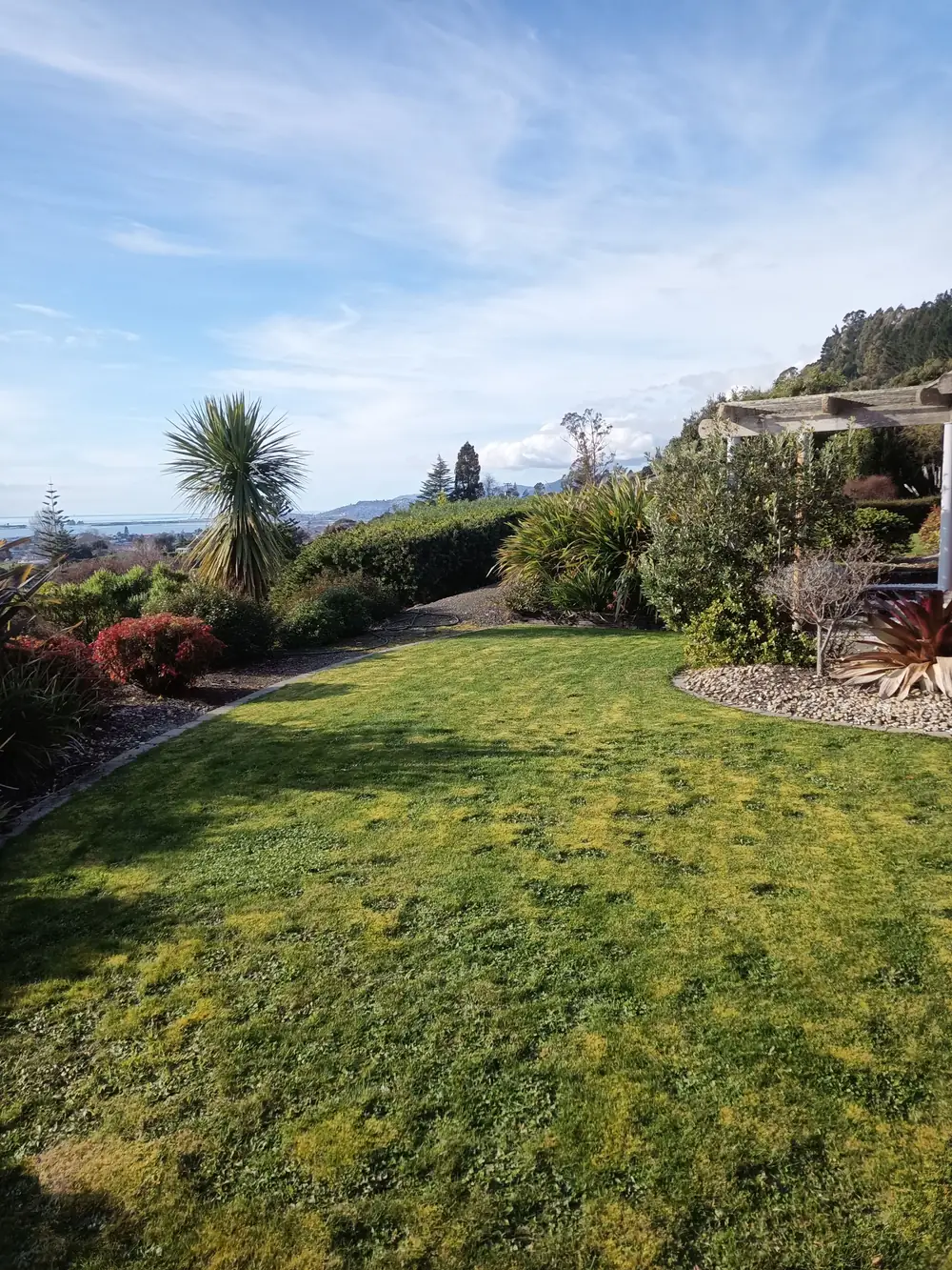 A freshly mown lawn with tidy garden edges