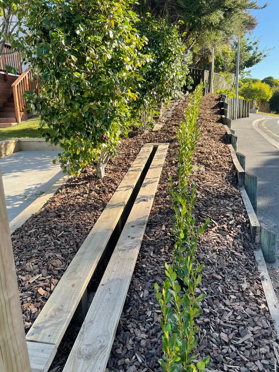 A garden bed after weeding, mulching and planting