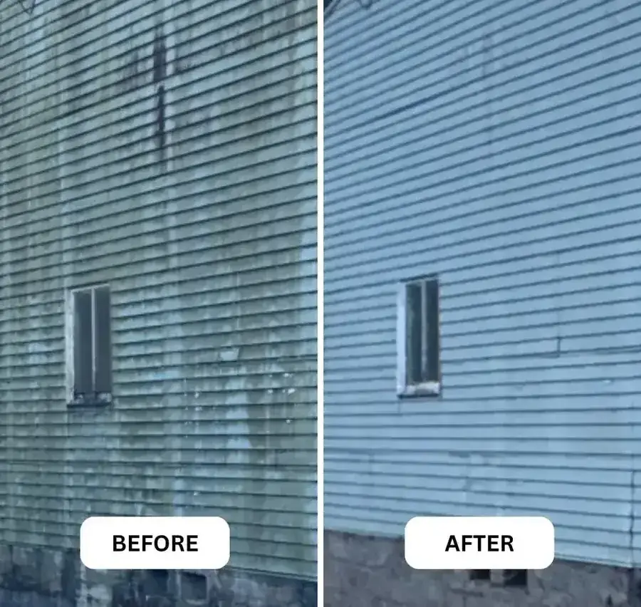 Weatherboard cladding in Nelson, half washed to show the mould removed