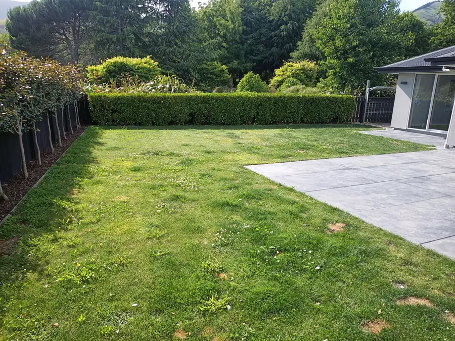 A trimmed hedge beside a freshly mown lawn