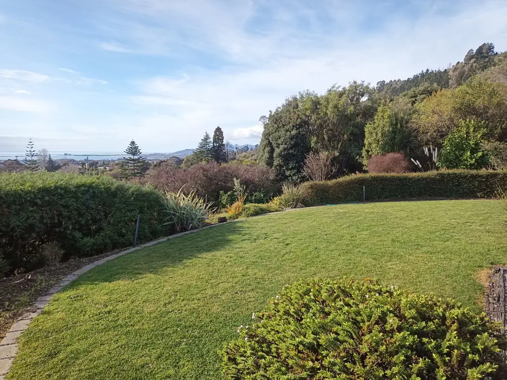 A mown lawn and trimmed hedges on a hillside in Nelson Tasman
