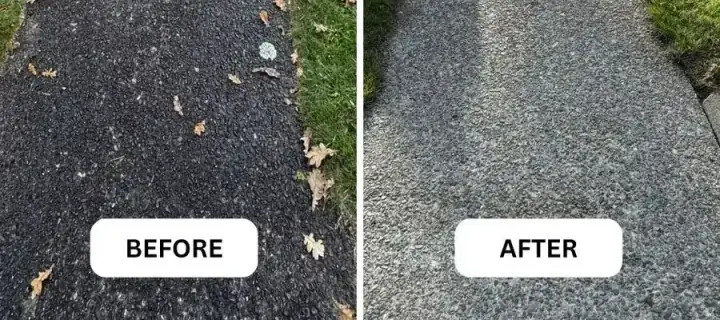 A concrete pathway in Nelson before and after moss treatment and water blasting