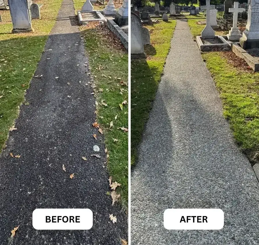 A concrete path in Nelson before and after water blasting