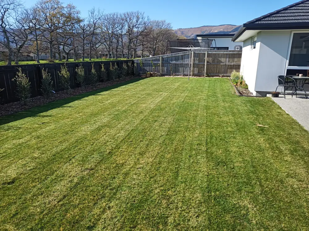 A freshly mown and striped lawn in Nelson Tasman