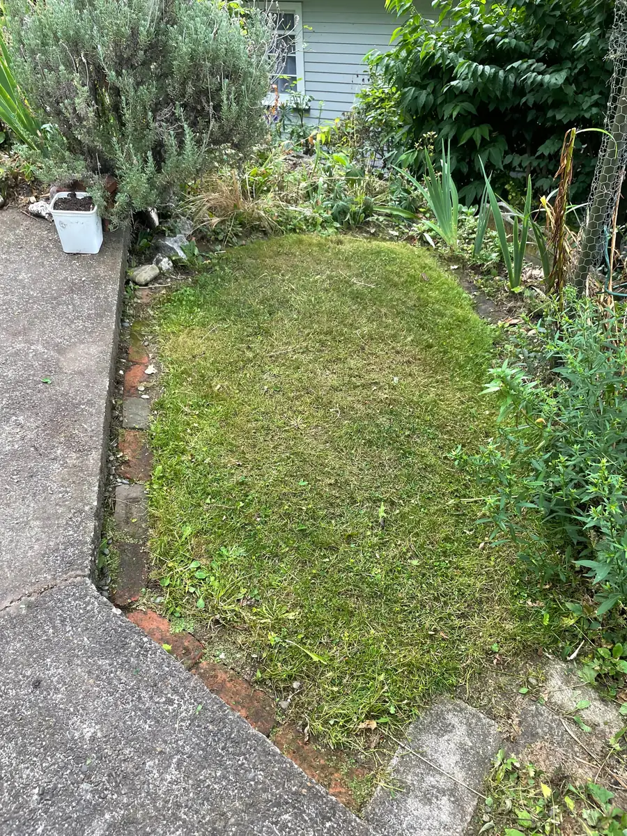 A section after a full clean-up